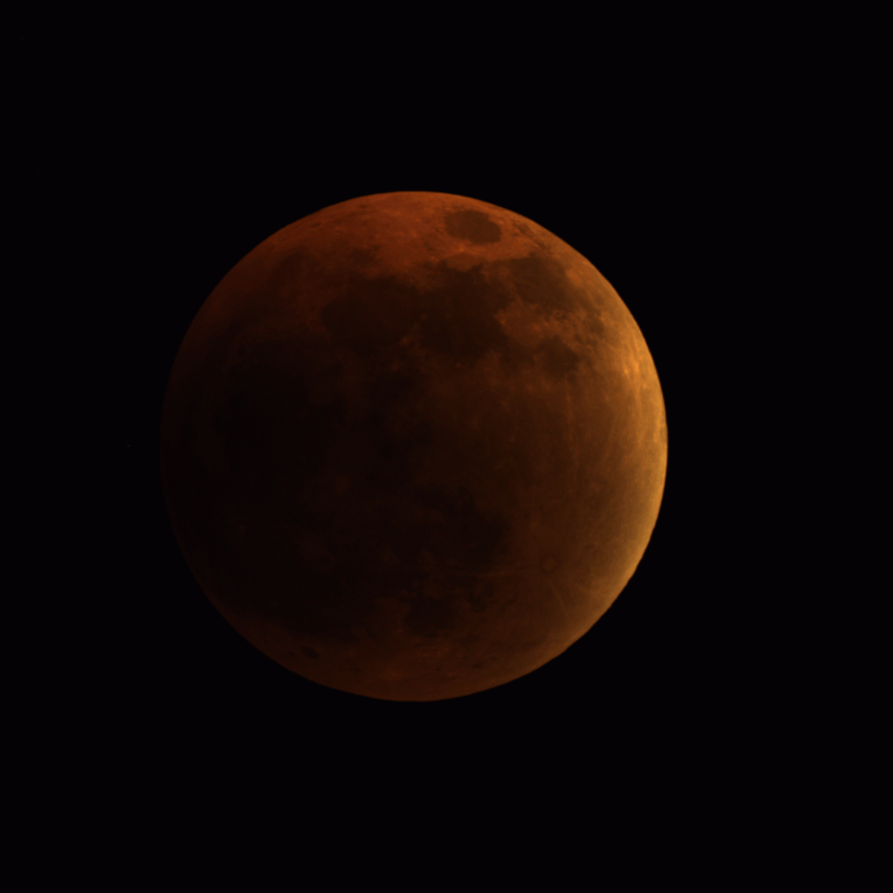 GIF of the lunar eclipse at maximum phase – Astrophotography