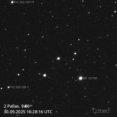 (2) Pallas