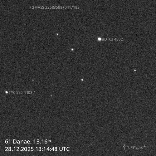 (61) Danae