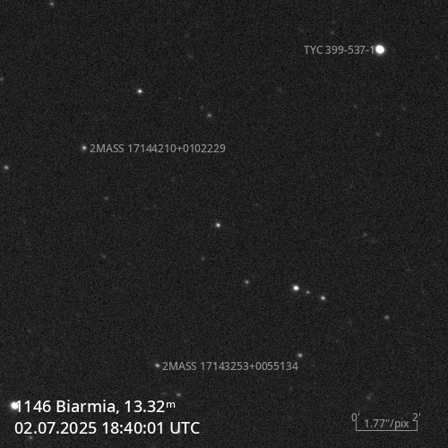 (1146) Biarmia