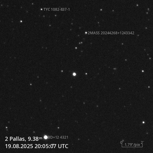 (2) Pallas