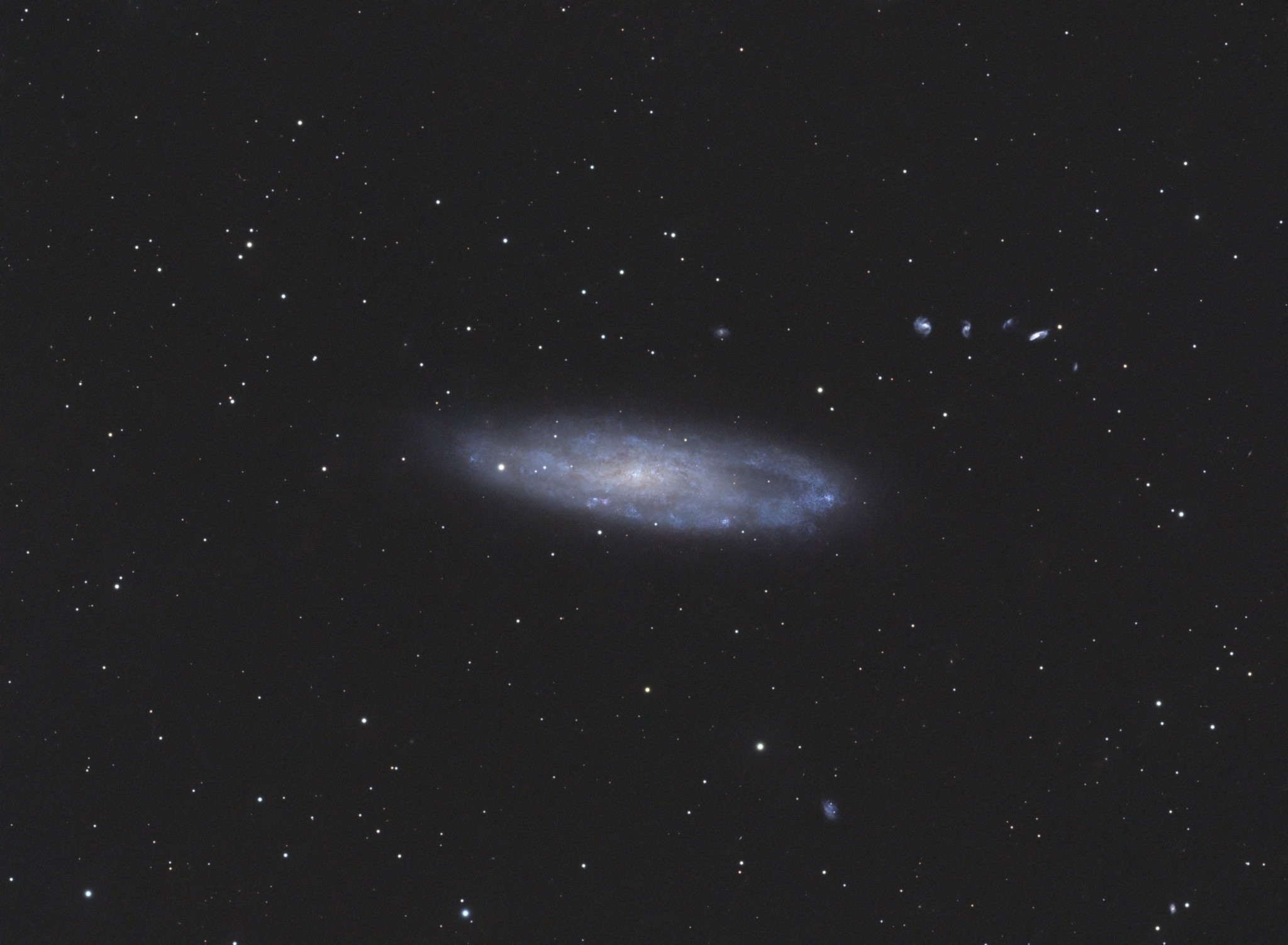 NGC 247 Needle's Eye Galaxy and Burbidge's Chain