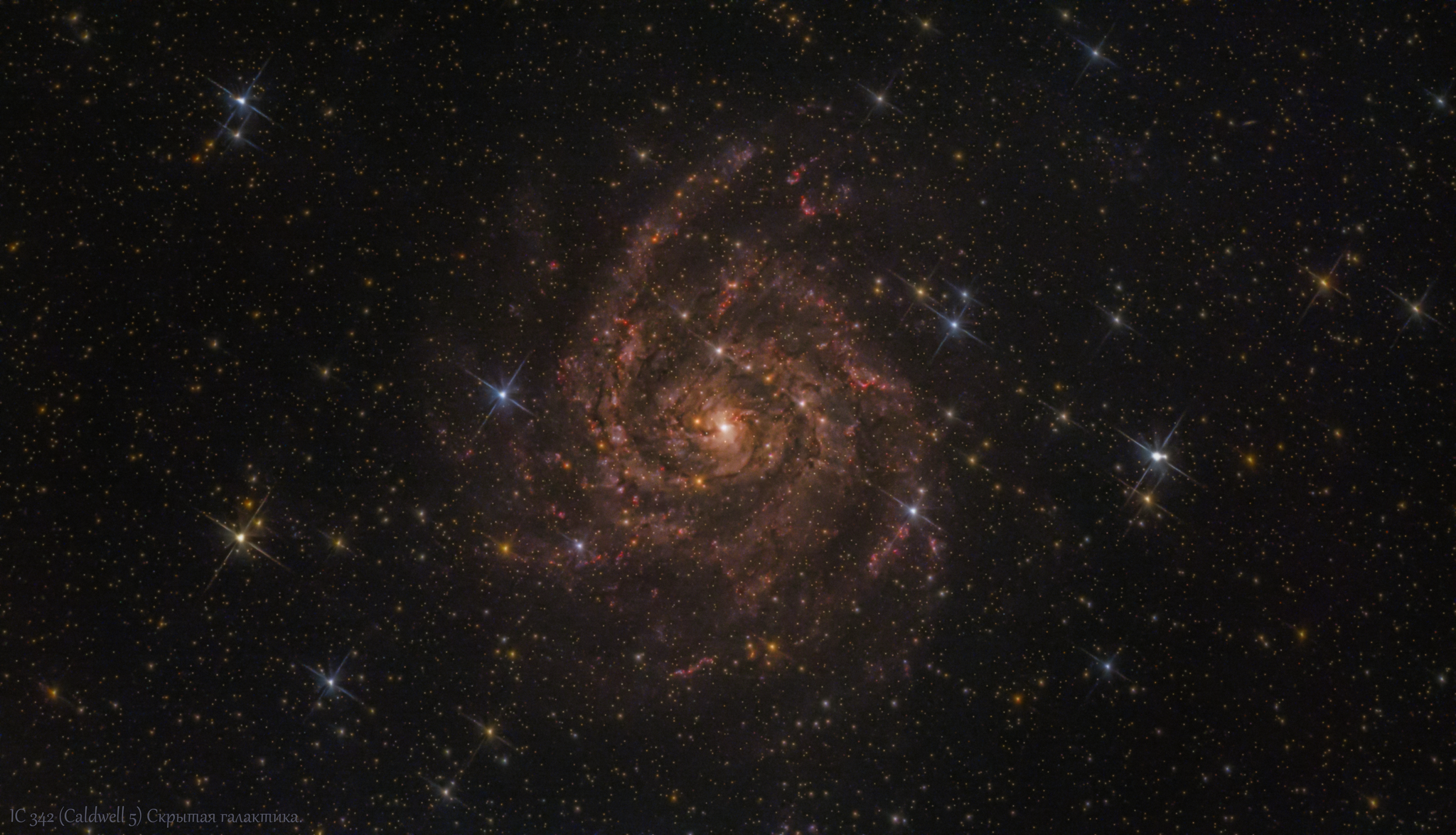 IC 342 (Caldwell 5) Hidden Galaxy.