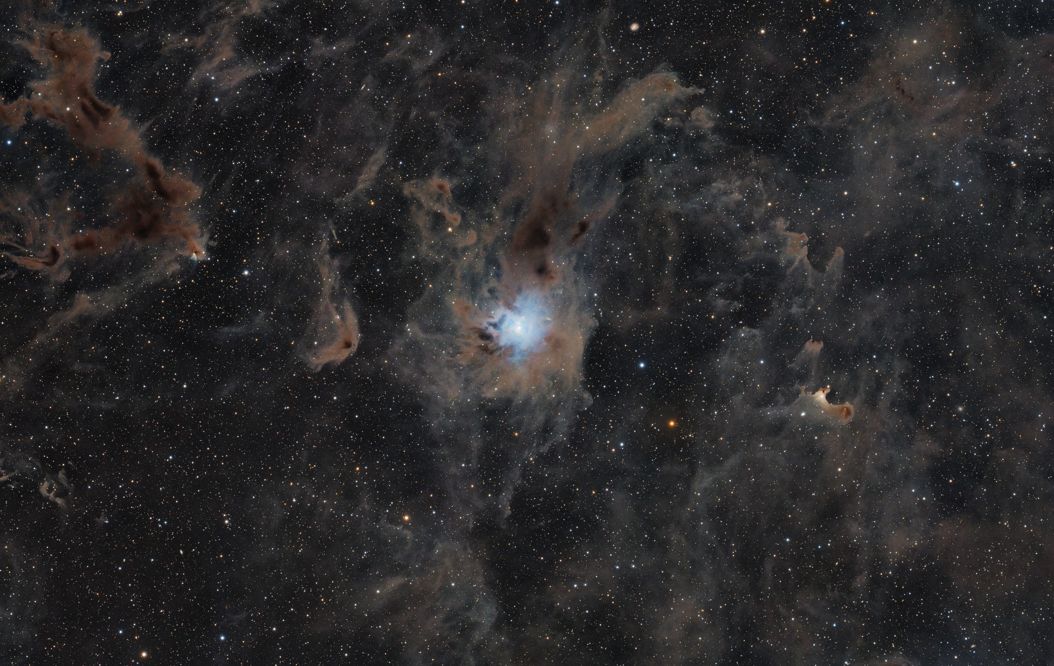 NGC 7023 Iris Nebula